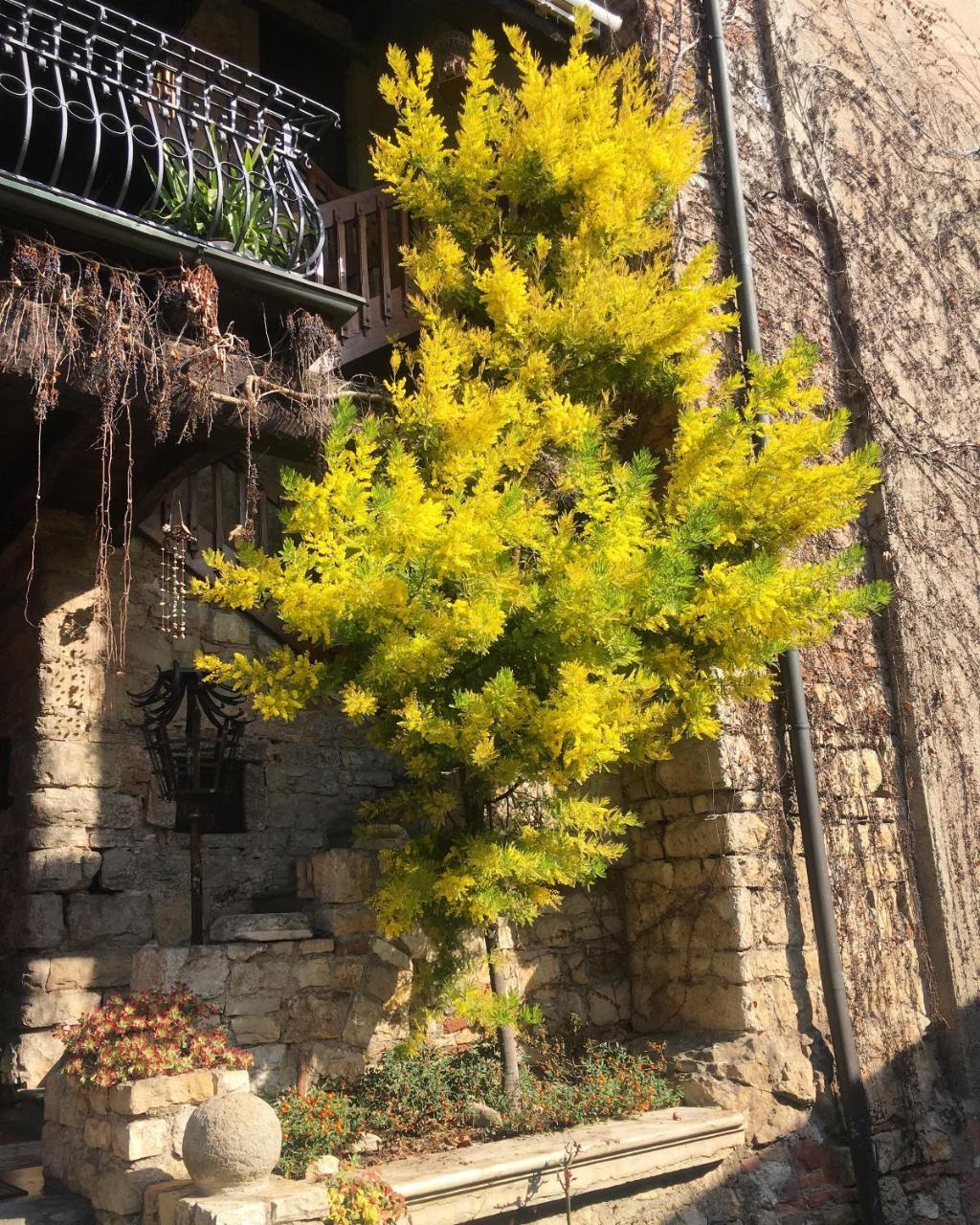 Torre De Salis Bed and Breakfast Gussago Εξωτερικό φωτογραφία